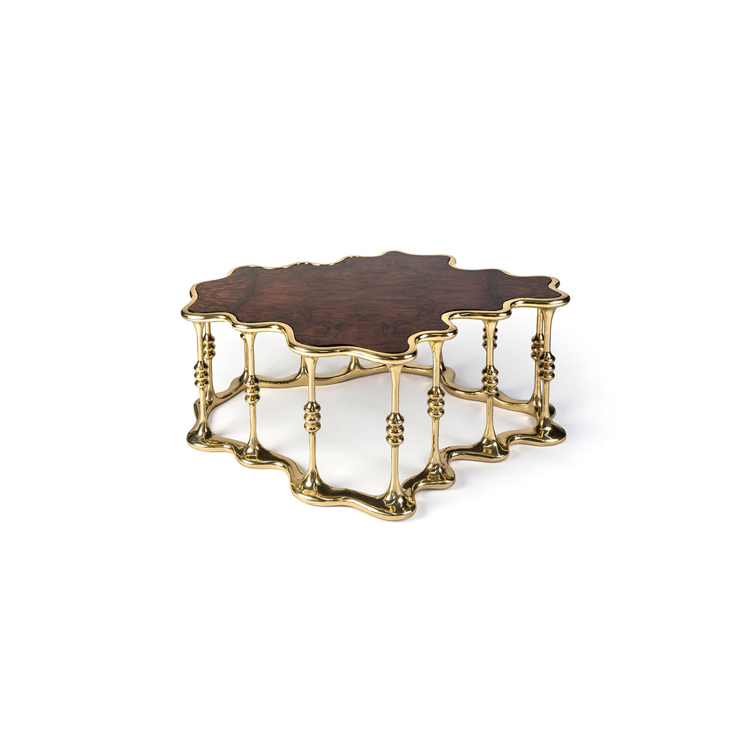 MESA CENTRAL ANATOLIA SK