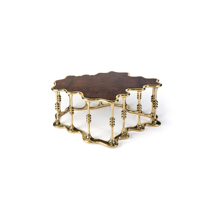 MESA CENTRAL ANATOLIA SK