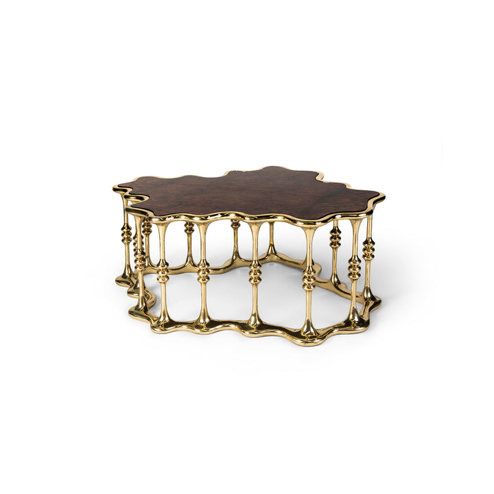 MESA CENTRAL ANATOLIA SK