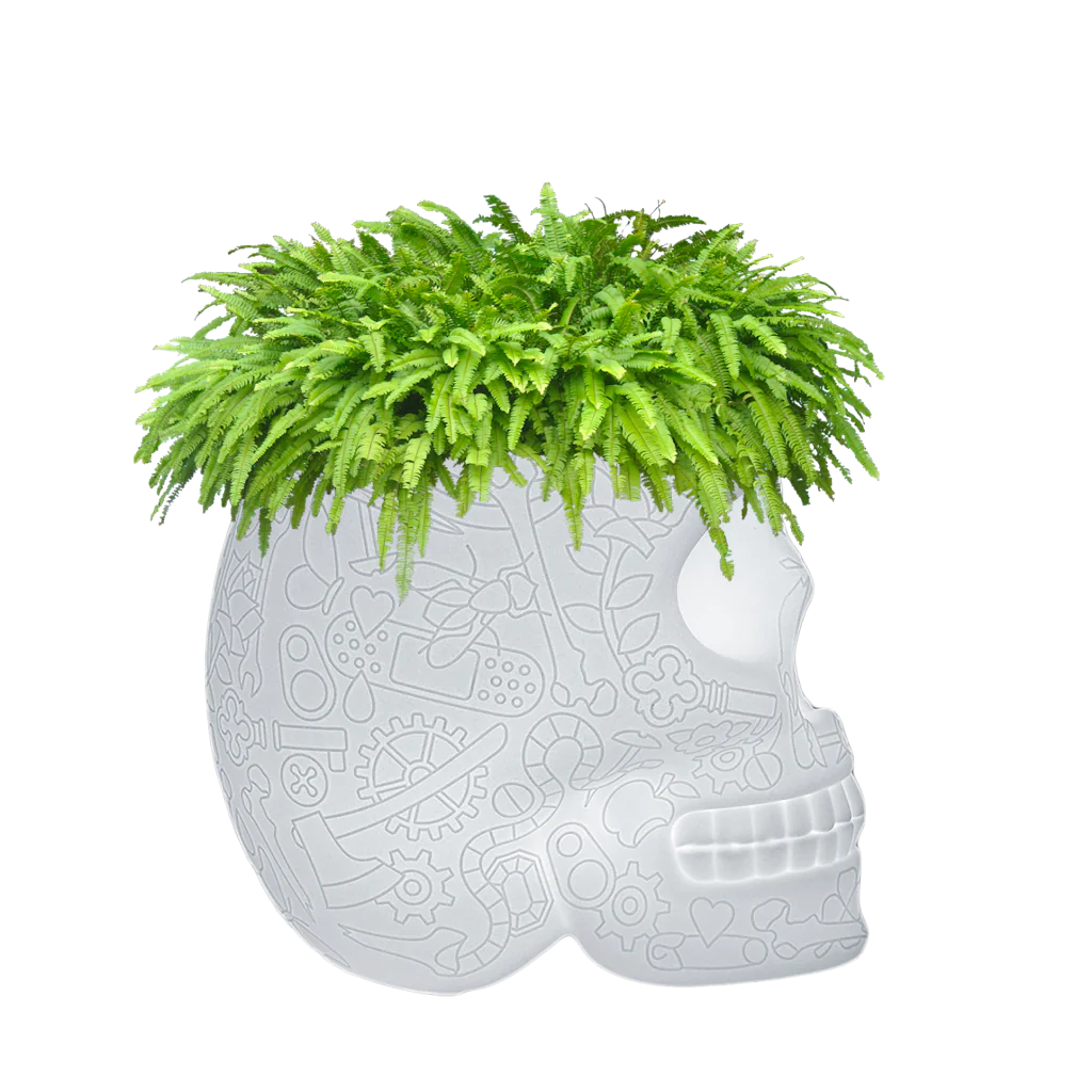 ENFRIADOR DE CHAMPAGNE Y LÁMPARA PARA PLANTAS MÉXICO RECARGABLE LED
