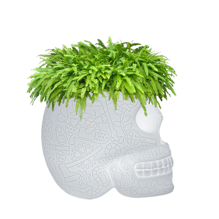 ENFRIADOR DE CHAMPAGNE Y LÁMPARA PARA PLANTAS MÉXICO RECARGABLE LED