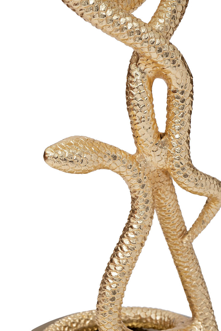 SERPENTE GD 