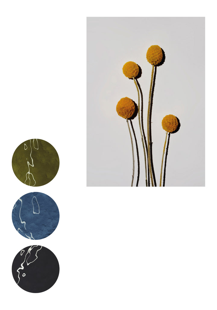 MESA DE COMEDOR FUCSIA