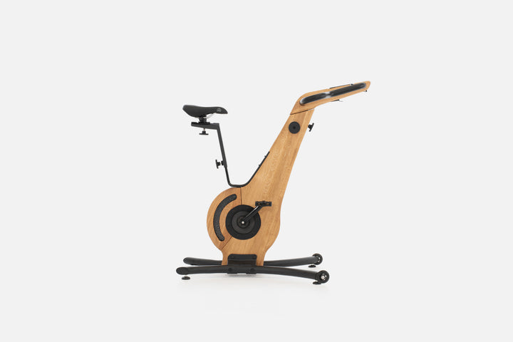 BICICLETA ROBLE